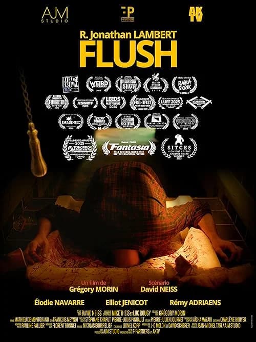 Flush film posteri